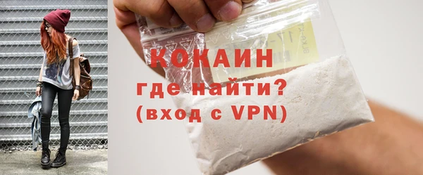 гашик Тавда