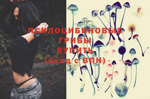 прущие крисы Тайга
