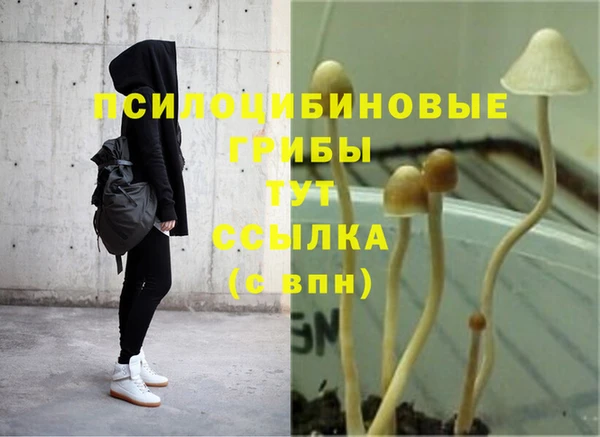 кокаин премиум Верея