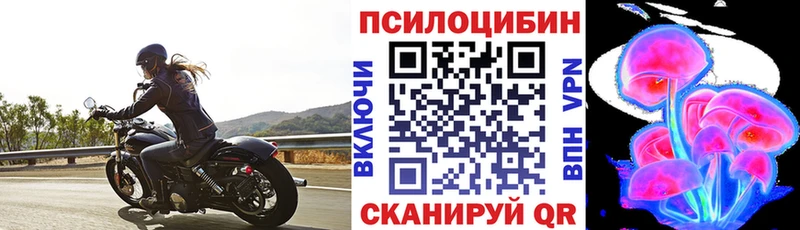 Псилоцибиновые грибы Psilocybe  Ивантеевка 